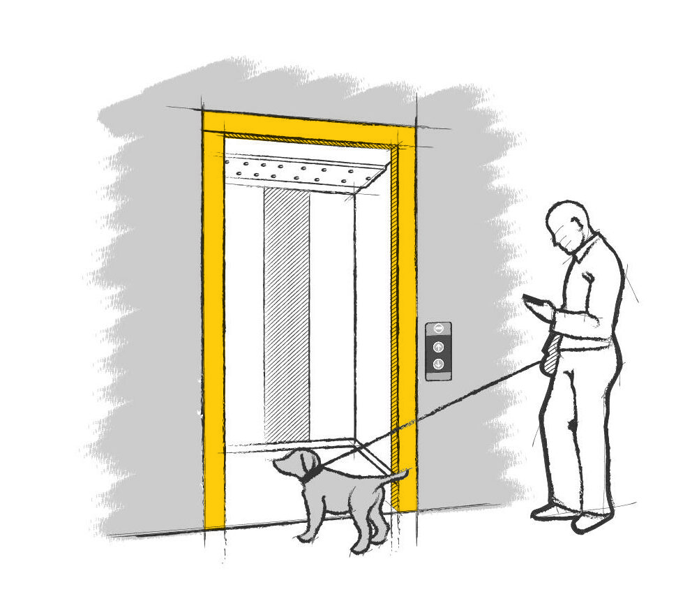 Ilustración consejo de seguridad con perro al montar en ascensor